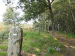 grenspaal Aamsveen